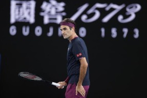 开云-包含费德勒爆冷击败日本队，回归赛场引爆全场！的词条