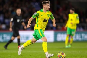 Kaiyun-包含凯恩遭遇七连败，塞尔维亚队教练面临压力！的词条